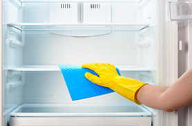 Refrigerator Cleaners